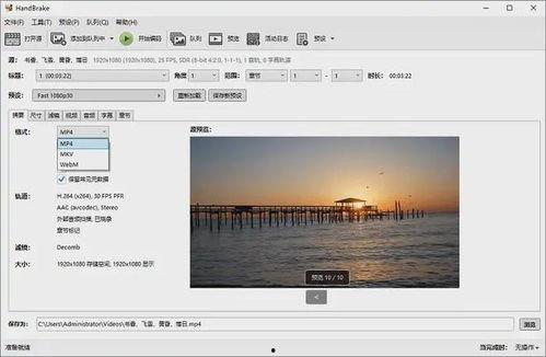 在线视频风格转换网站,轻松驾驭多元视频风格