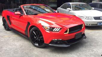 菲律宾小野马 在线视频